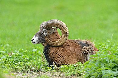 《霍格沃茨的遗产》首曝14分钟演示 确认今年圣诞假期发售