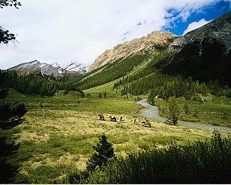 《极限竞速：地平线5》PC下周更新DLSS 2.0和更广泛光追